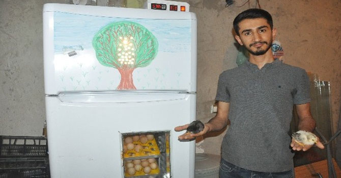 Hurdacıdan aldığı buzdolabından yaptırdığı kuluçka makinesiyle civciv uretiyor