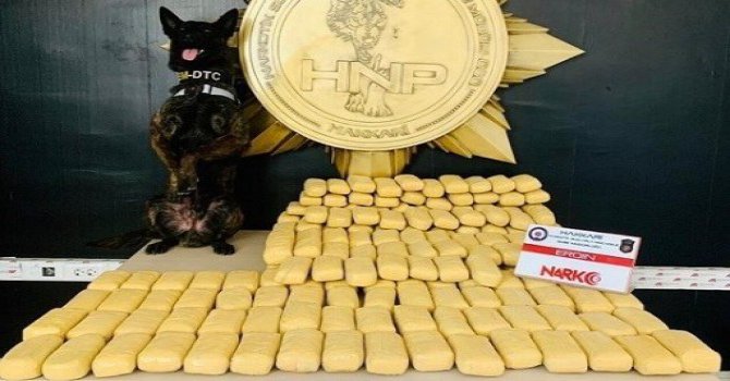 Hakkari'de Narkotik köpeği Pars'ın zafer pozu