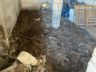 Çiftlik evinde yapılan kazıda kemik parçaları bulundu