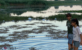 Antalya'nın doğal güzelliği Kırkgöz'de çöp kirliliği