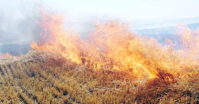 Çiftçilere anız uyarısı