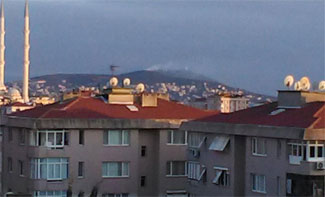 Büyükada'da çıkan yangın korkuttu