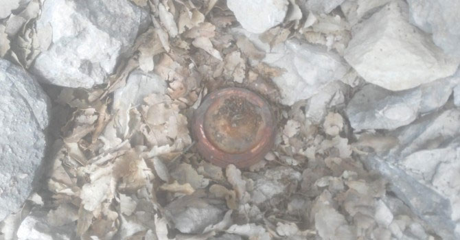 Lice’de patlamamış havan mermisi ve mayın bulundu