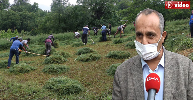 Hakkari'de Köylüler belediye başkanları için seferber oldu