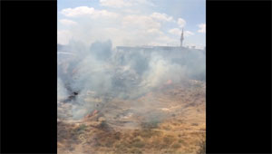 Anız yangını fıstık ağaçlarına sıçradı