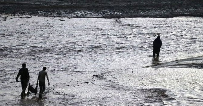 100'e yakın koyun sel sularına kapılarak öldü