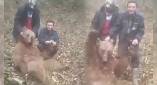 Önce öldürdüler, sonra işkence ettiler