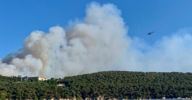 Heybeliada yangınında 3 gözaltı