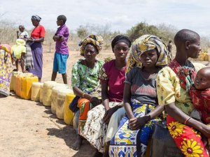 BM: 3 milyardan fazla insan sağlıklı beslenemiyor