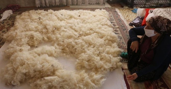 Tek geçimleri yün yorgan