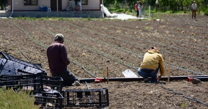 'Sulama Birlikleri çiftçinin yanında olmalı'