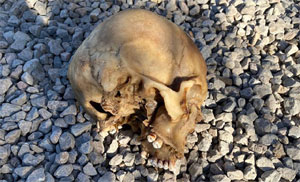 'Kardeşime ait olduğunu düşünüyoruz'