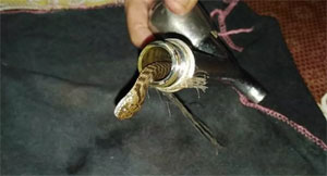 Musluktan çıkan yılan paniğe neden oldu