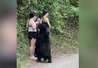 Yürüyüşte karşısına çıkan ayıyla selfie çekti