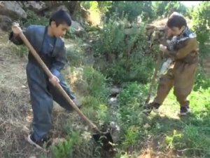 Hakkarili kardeşlerin ağır yükü!