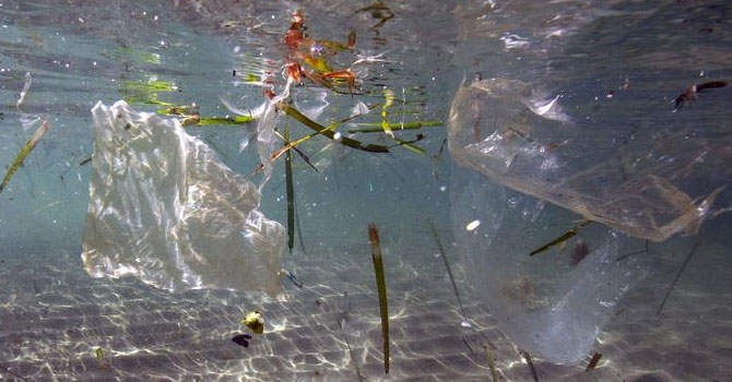 Akdeniz’e her yıl yarım milyon ton plastik atık karışıyor