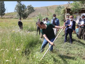 Hakkari Valisi Akbıyık vatandaşlarla ot biçti