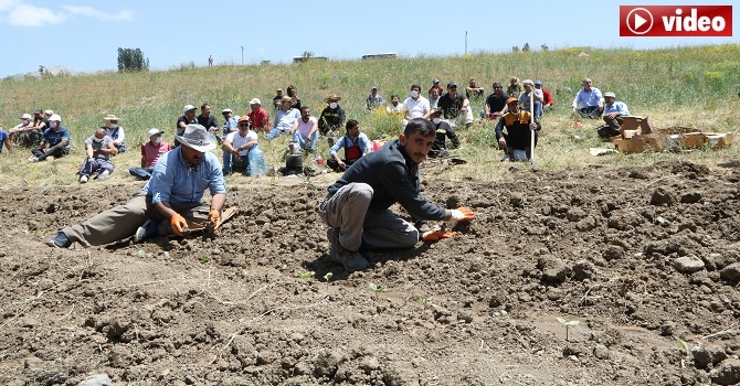 Hakkari'de türkülerle dar gelirli ailelere sebze-meyve ekiyorlar