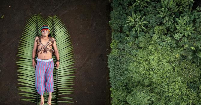 2019'da 212 çevre aktivisti öldürüldü