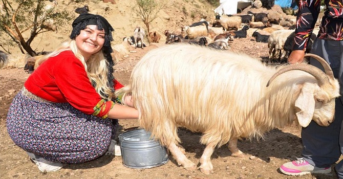 Fedakar Öğretmen Rıza Tekin yazdı...