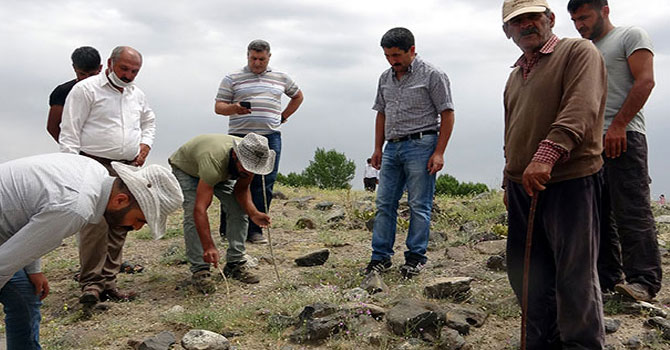 Van'da bir mahallede akrep istilası 