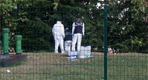 İstanbul'da ağaca asılı ceset bulundu