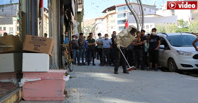 Hakkari'de çarşı merkezini arılar bastı