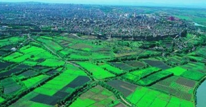 Hevsel Bahçeleri'nde yangın!