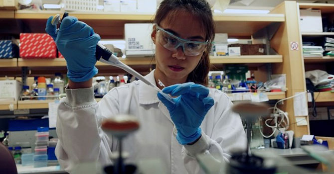 Corona  virüs aşısı 2 hafta içinde hazır olacak