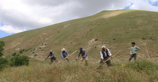 Hakkari'nin köylerinde kış hazırlığı devam ediyor