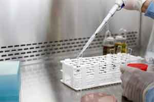 WHO, ‘aşı milliyetçiliğine’ karşı uyardı