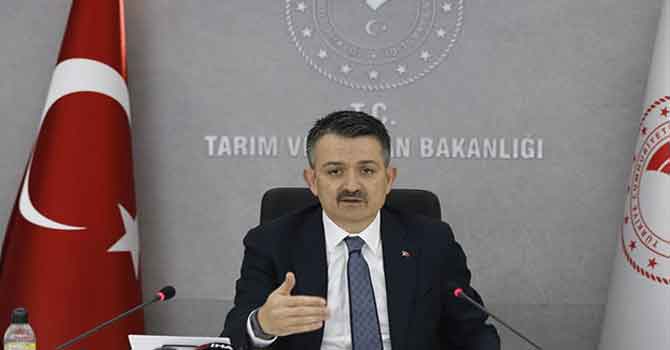 Bakan Pakdemirli: Ödemeler bugün başlıyor
