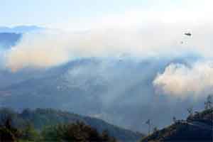 Adana'daki orman yangını kontrol altına alındı