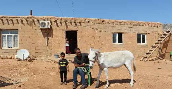 Taksiti ödeyemezse eşeği elinden alınacak