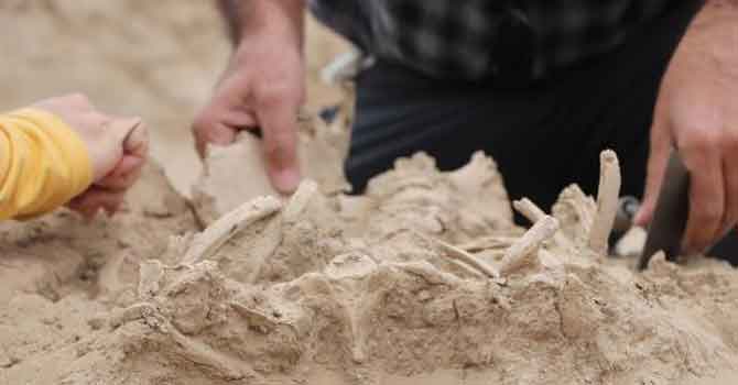 Önemli bulgu Van'da ortaya çıktı