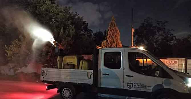 Kocaeli'de 3 ilçeyi böcekler istila etti