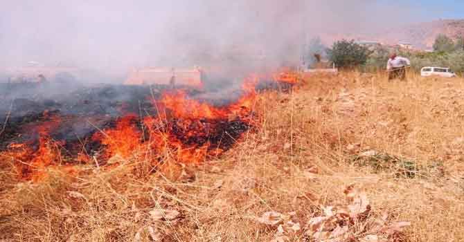 Şemdinli'de köy mezarlığında çıkan yangın korkuttu