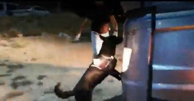 12 milyon liralık eroin ele geçirildi