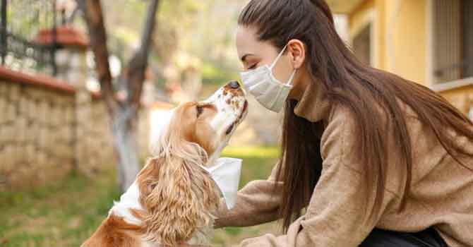 İlçe sınırlarında evcil hayvan ticaretine yasak