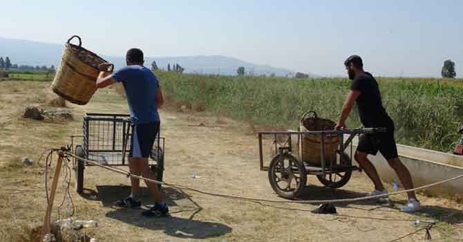 Tarlada 'Survivor' yarışması