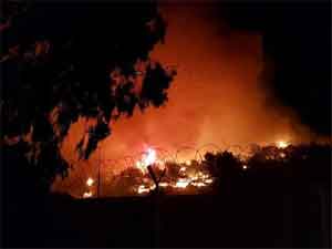 Ayvalık'ta orman yangını