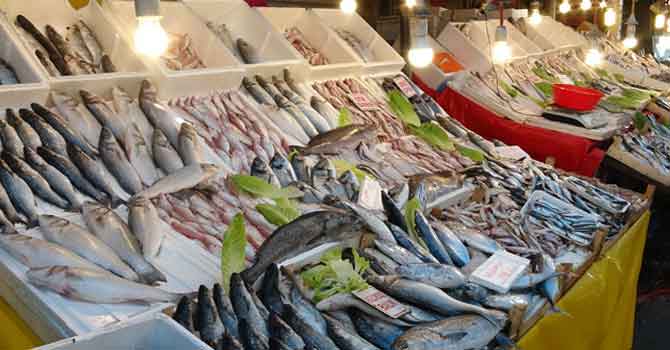 Av yasağı kalkınca balık bolluğu nedeniyle fiyatlar düştü