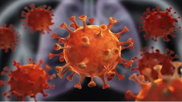 Sağlık Bakanlığı'ndan 'Covid-19 Sözlüğü' 