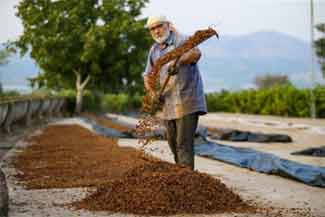Türkiye PMI eylül verilerine göre giyim ve deri ürünleri ile gıda ürünleri sektörlerinde üretim azaldı