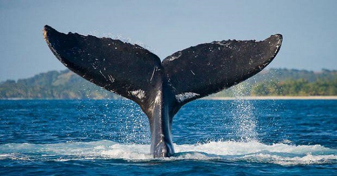 Bir zarafeti bir çizgisi olmalı insanın Rıza Tekin Yazdı...