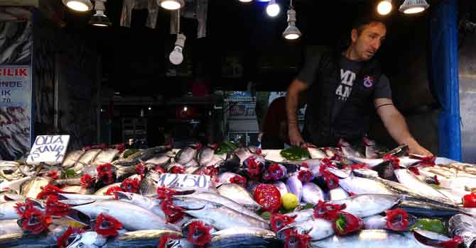 Karadeniz'de palamut bolluğu 
