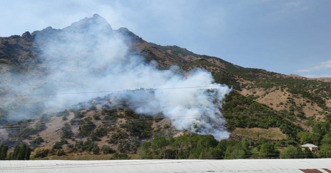 Şemdinli'de orman yangını