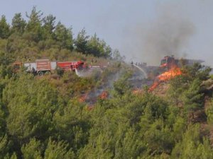 Hatay'daki orman yangını yerleşim bölgelerine sıçradı