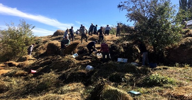 Yüksekova'da çıkan yangında 4 bin 500 bağ ot yandı