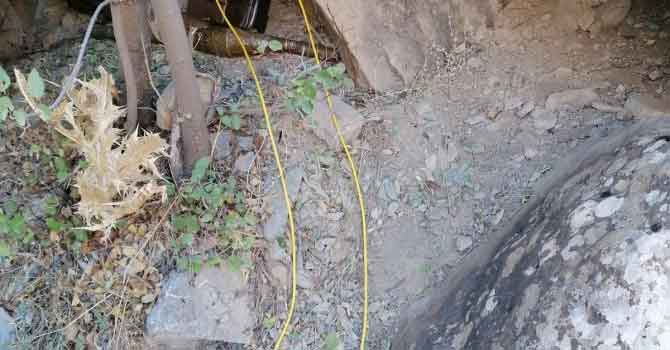 Oğul köyü kırsalındaki tuzak imha edildi!